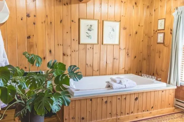 Romantic Kır Evi, 1 En Büyük (King) Boy Yatak, Sigara İçilmez, Jakuzi