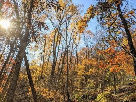 Ev, Birden Çok Yatak (Autumn Wings - A Natural Retreat )