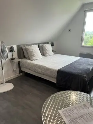 Superior Tek Büyük Yataklı Oda