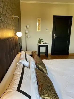 Deluxe Tek Büyük Yataklı Oda, Özel Banyo, Havuz Manzaralı (Rétro)
