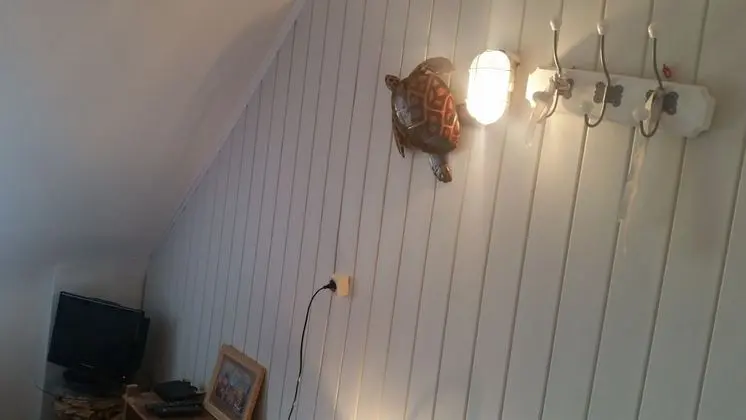 Basic Tek Büyük Yataklı Oda, 1 Çift Kişilik Yatak, Vadi Manzaralı