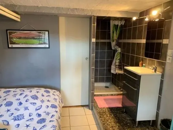 Basic Tek Büyük Yataklı Oda, Özel Banyo