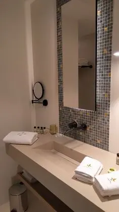 Superior Tek Büyük Yataklı Oda