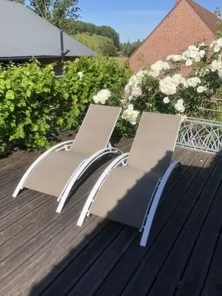 Tek Büyük veya İki Ayrı Yataklı Oda, Banyolu/Duşlu (Fleur de lin)