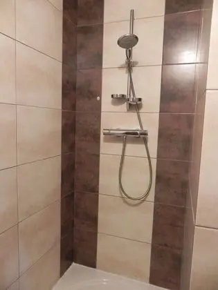 Comfort Tek Büyük Yataklı Oda (La Tille)