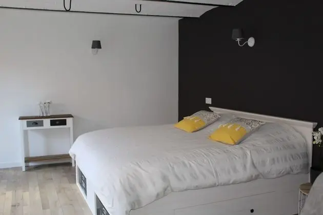 Tek Büyük Yataklı Oda, Engellilere Uygun, Banyolu/Duşlu