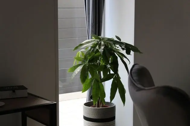 Tek Büyük Yataklı Oda, Engellilere Uygun, Banyolu/Duşlu