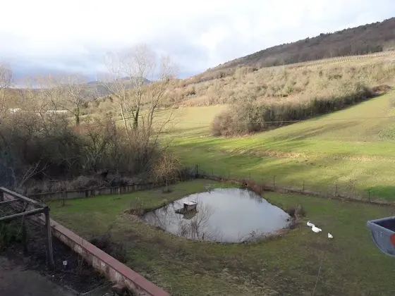 Comfort Süit, Sigara İçilmez, Özel Banyo