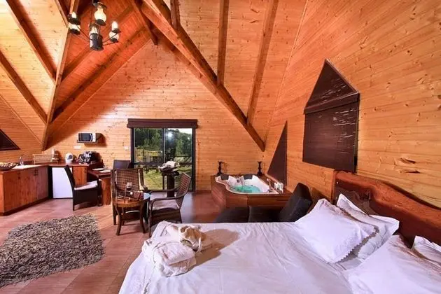 Deluxe Stüdyo Süit