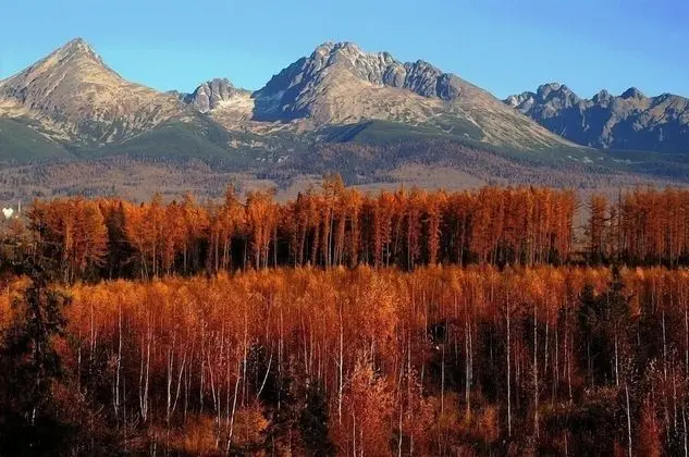 Standard Tek Büyük Yataklı Oda, Vadi Manzaralı