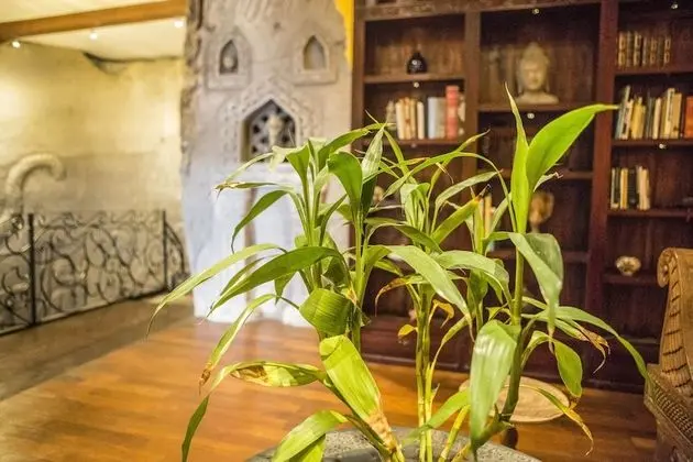 Villa, 3 Yatak Odası