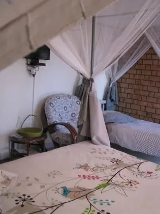 Comfort Üç Kişilik Oda, Birden Çok Yatak, Havuz Manzaralı