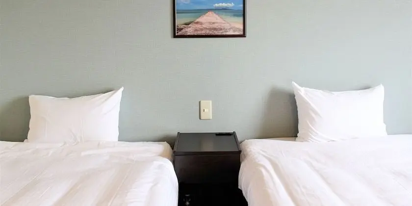 İki Ayrı Yataklı Oda, Sigara İçilmez (4·5F, with Wi-Fi & Private bathroom)