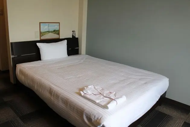 Tek Büyük Yataklı Oda, Sigara İçilmez (1·2F, with Wi-Fi & Private bathroom)