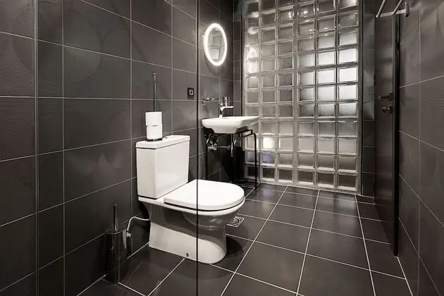 Executive Apart Daire, 1 En Büyük (King) Boy Yatak, Sigara İçilebilir