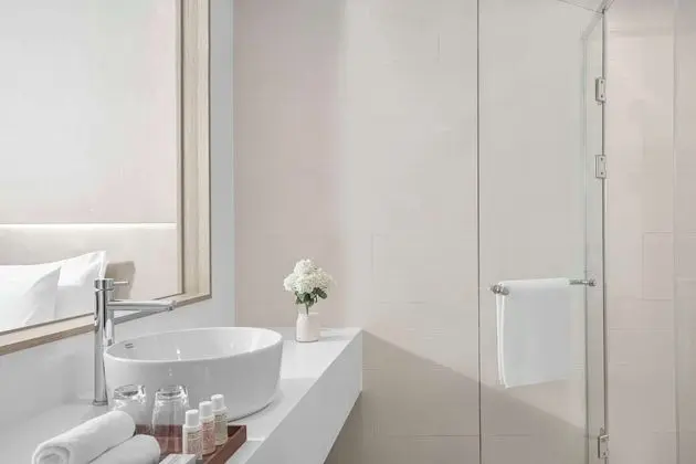Deluxe İki Ayrı Yataklı Oda, Şehir Manzaralı (Avani)