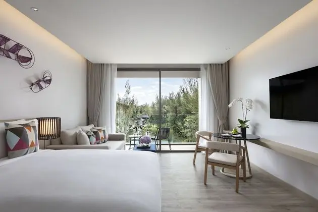 Premier Oda, 1 En Büyük (King) Boy Yatak, Balkon