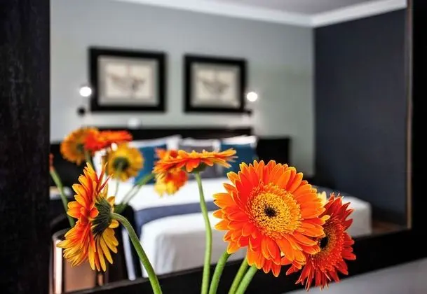 Avani Pool View Room