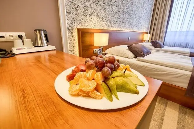 Comfort Oda, 1 Yatak Odası, Balkon (free Panorama Vitality Point Spa)