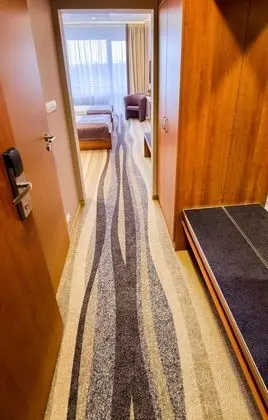 Comfort Oda, 1 Yatak Odası, Balkon (free Panorama Vitality Point Spa)