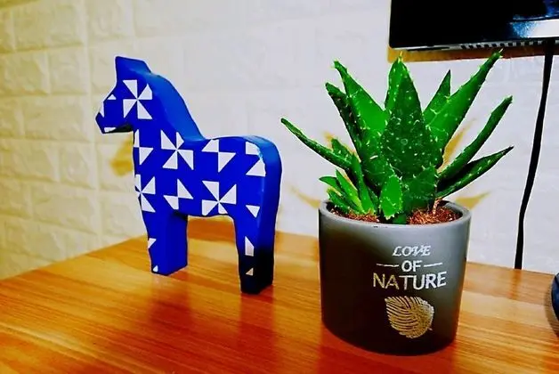 Standard Tek Büyük Yataklı Oda