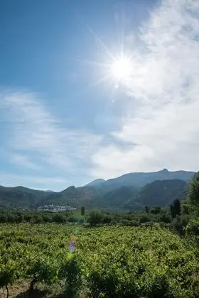 Grand Villa, 2 Yatak Odası, Kişiye Özel Havuzlu
