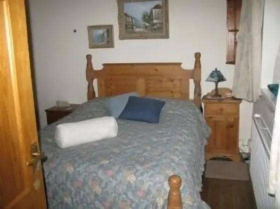 Standard Tek Büyük Yataklı Oda, Banyolu/Duşlu