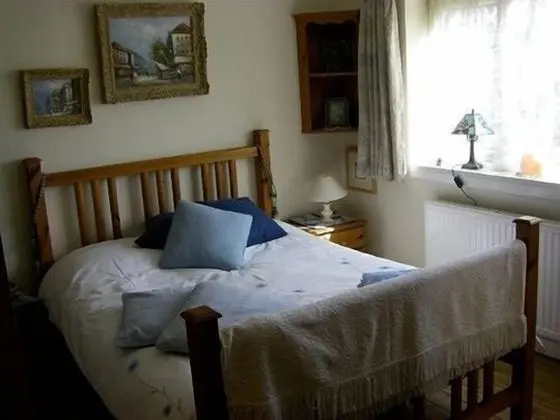 Standard Tek Büyük Yataklı Oda, Banyolu/Duşlu