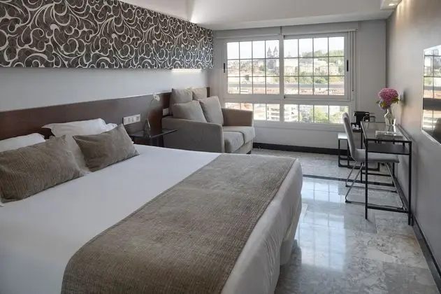 Superior Tek Büyük Yataklı Oda, Şehir Manzaralı