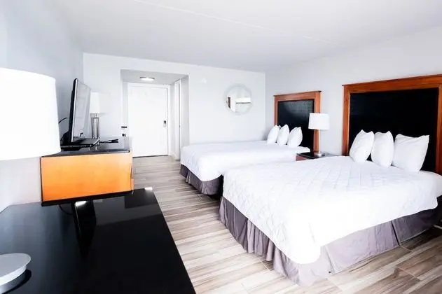 Comfort Stüdyo Süit, Birden Çok Yatak, Küçük Mutfak