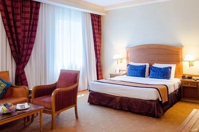 Executive Tek Büyük Yataklı Oda, 1 En Büyük (King) Boy Yatak