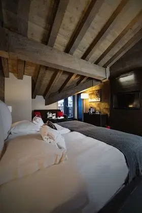 Superior Tek Büyük veya İki Ayrı Yataklı Oda