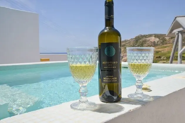 Deluxe Tek Büyük Yataklı Oda, Deniz Manzaralı, Denize Bakan (Mini Pool)