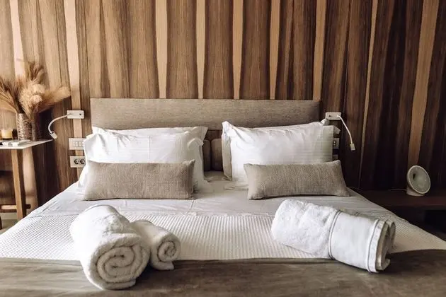Luxury Stüdyo Süit