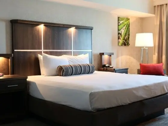 Luxury Oda, 1 En Büyük (King) Boy Yatak, Sigara İçilmez