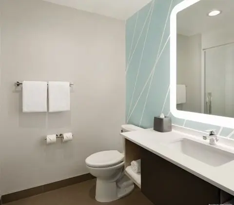 Standard Oda, 1 En Büyük (King) Boy Yatak, Engellilere Uygun (Hearing Accessible)