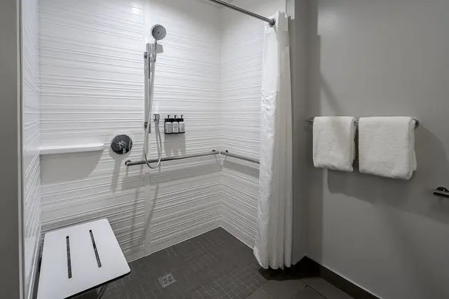 Standard Oda, 1 En Büyük (King) Boy Yatak, Engellilere Uygun (Roll-In Shower)