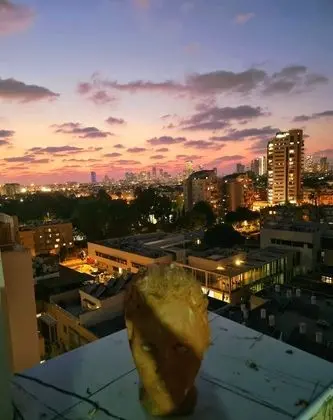 Panoramic Stüdyo Süit, 1 Yatak Odası, Şehir Manzaralı