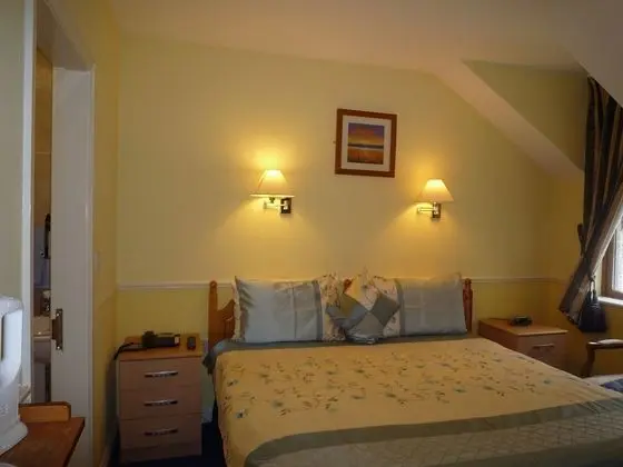 Tek Büyük Yataklı Oda (Room Only)