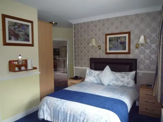 Tek Büyük Yataklı Oda (Room Only)