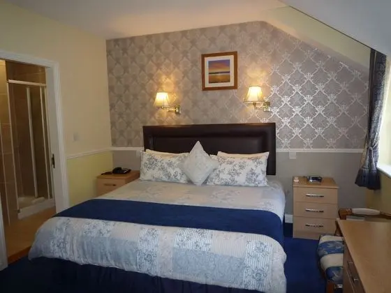 Tek Büyük Yataklı Oda (Room Only)