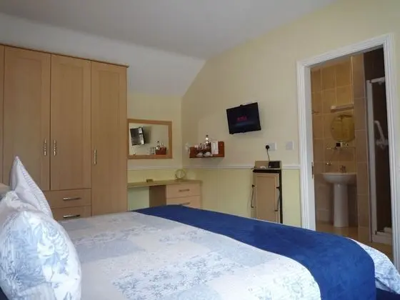 Tek Büyük Yataklı Oda (Room Only)