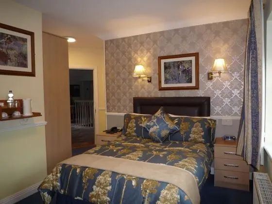 Tek Büyük Yataklı Oda (Room Only)