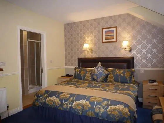Tek Büyük Yataklı Oda (Room Only)