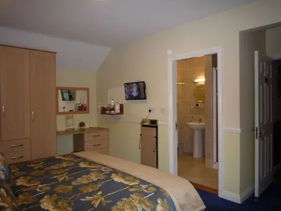 Tek Büyük Yataklı Oda (Room Only)