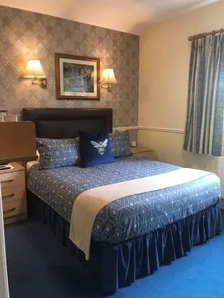 Tek Büyük Yataklı Oda (Room Only)