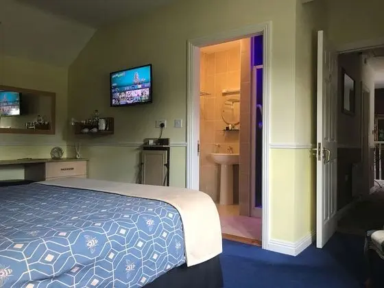 Tek Büyük Yataklı Oda (Room Only)