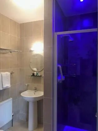 Tek Büyük Yataklı Oda (Room Only)