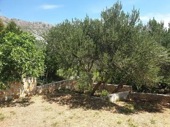 Family Villa, Kişiye Özel Havuzlu