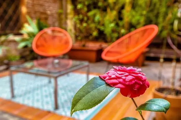 Junior Süit (Comfort with Private Garden)